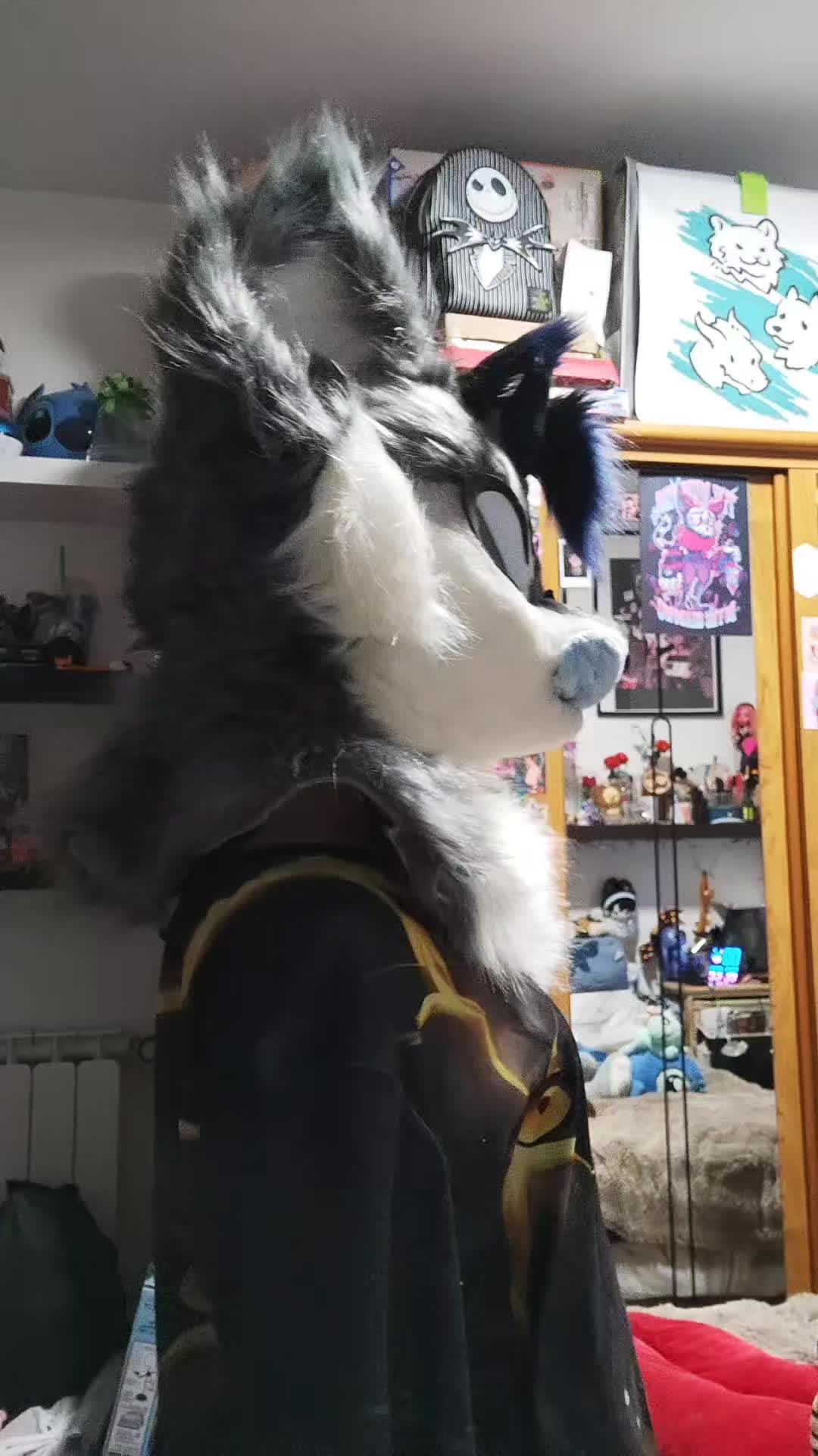 @Shysako.Fur
