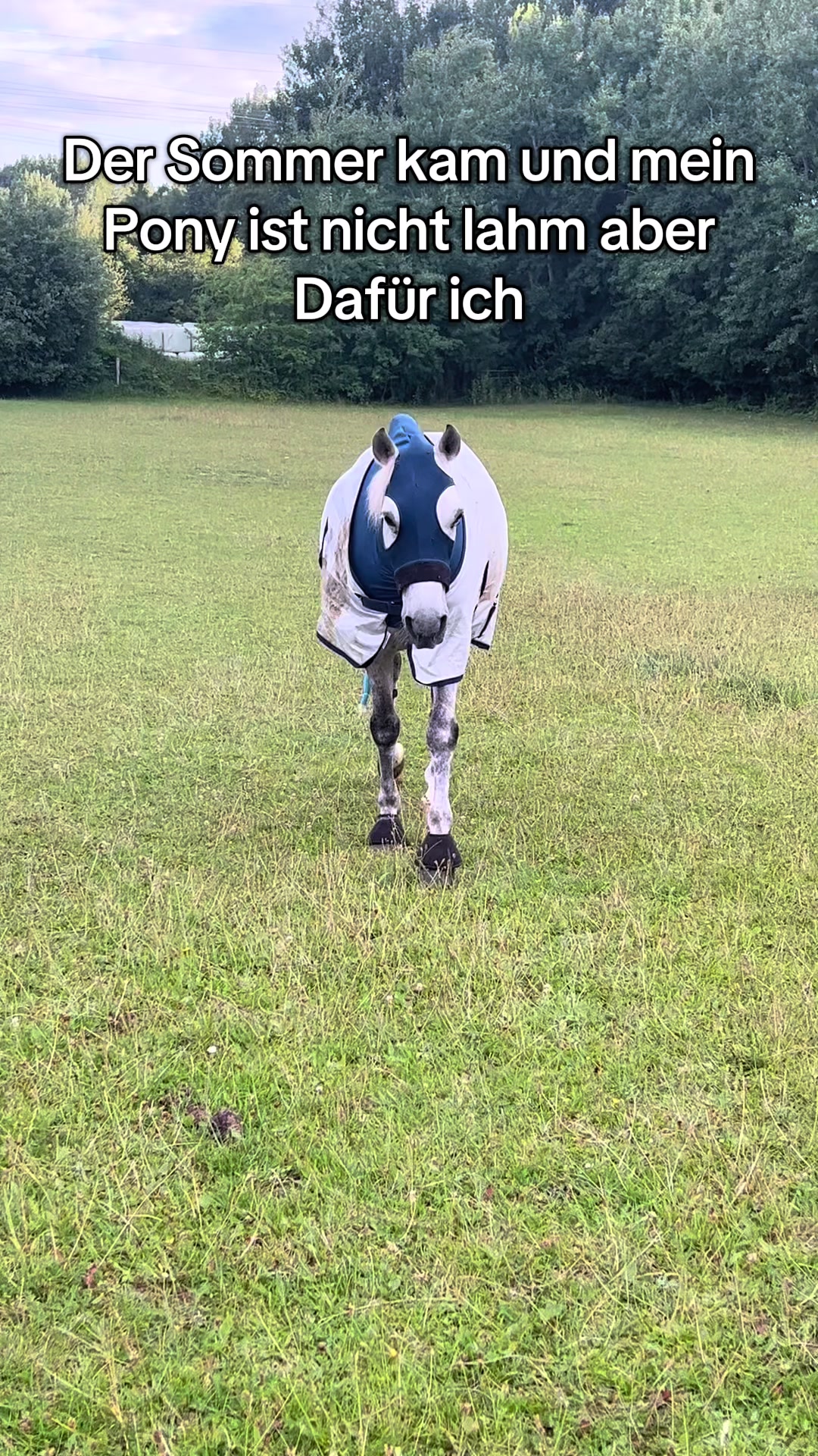 @sunny_the_pony20
