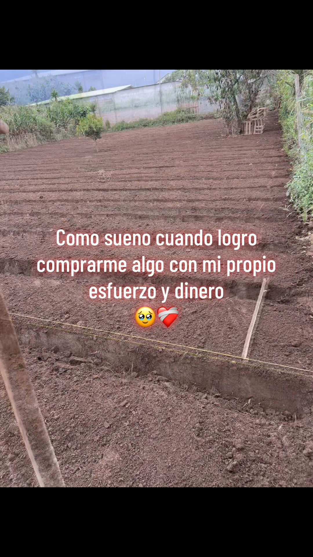 @ Brayan 🤴🏻🖤