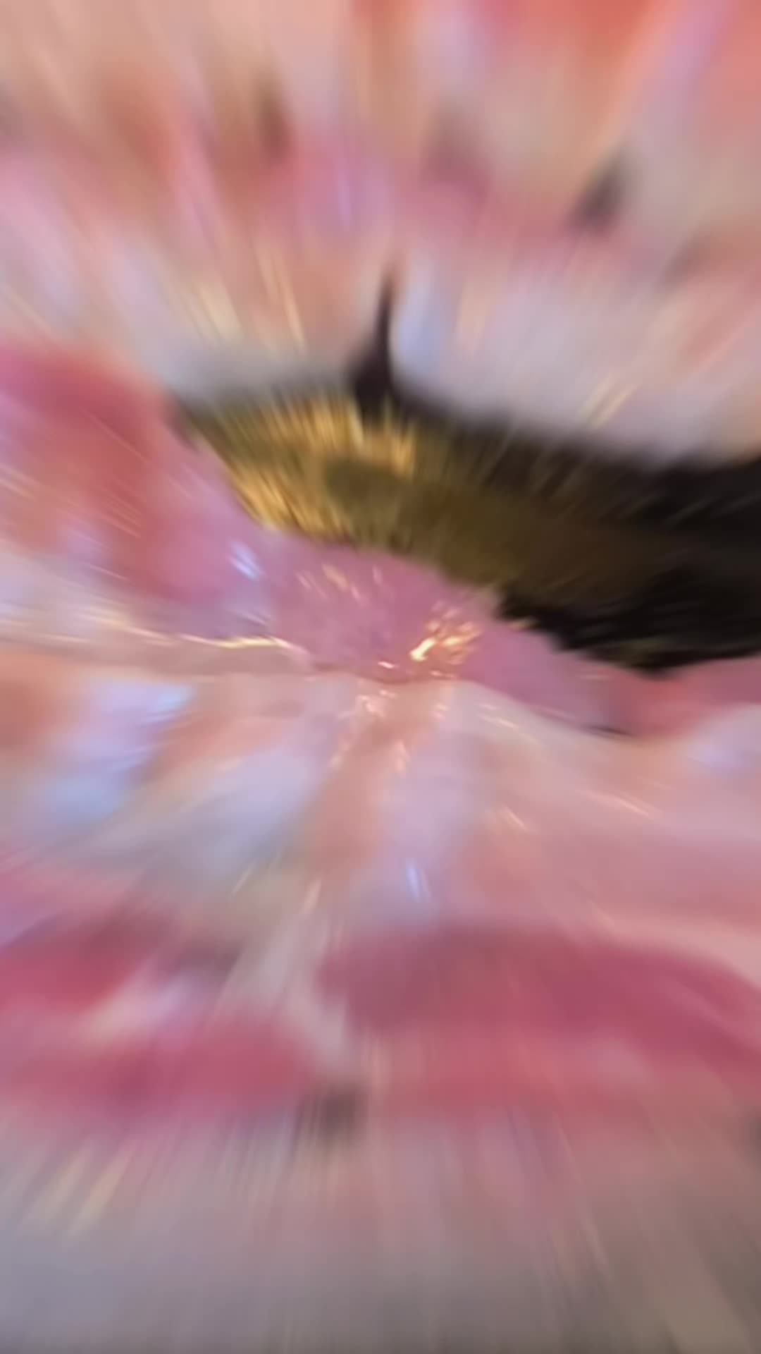 @Nanine