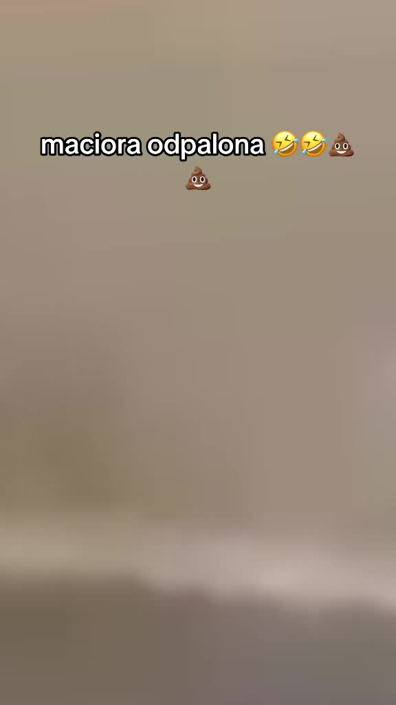 @sydn&oelig;y