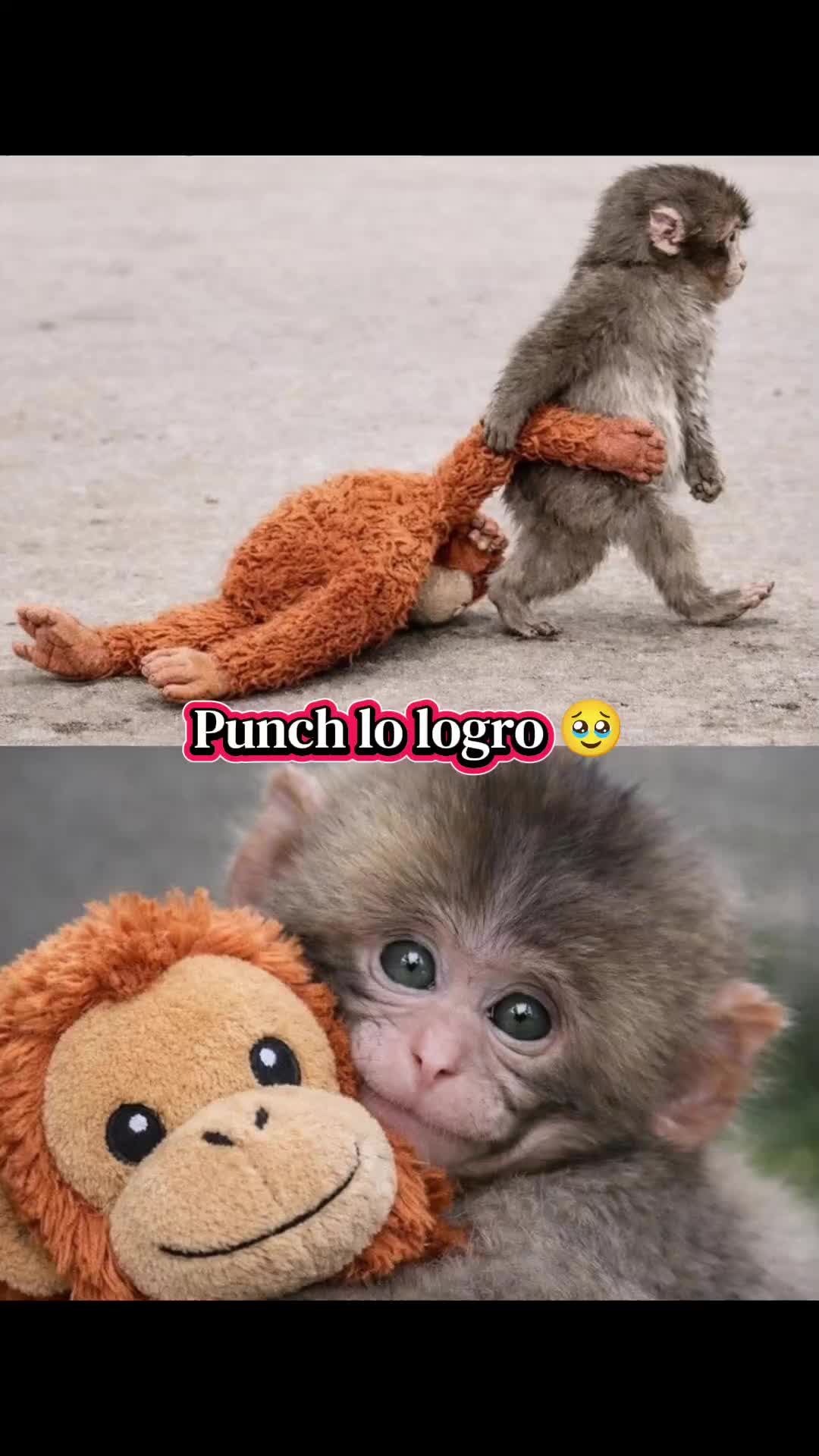 @Luzmaria