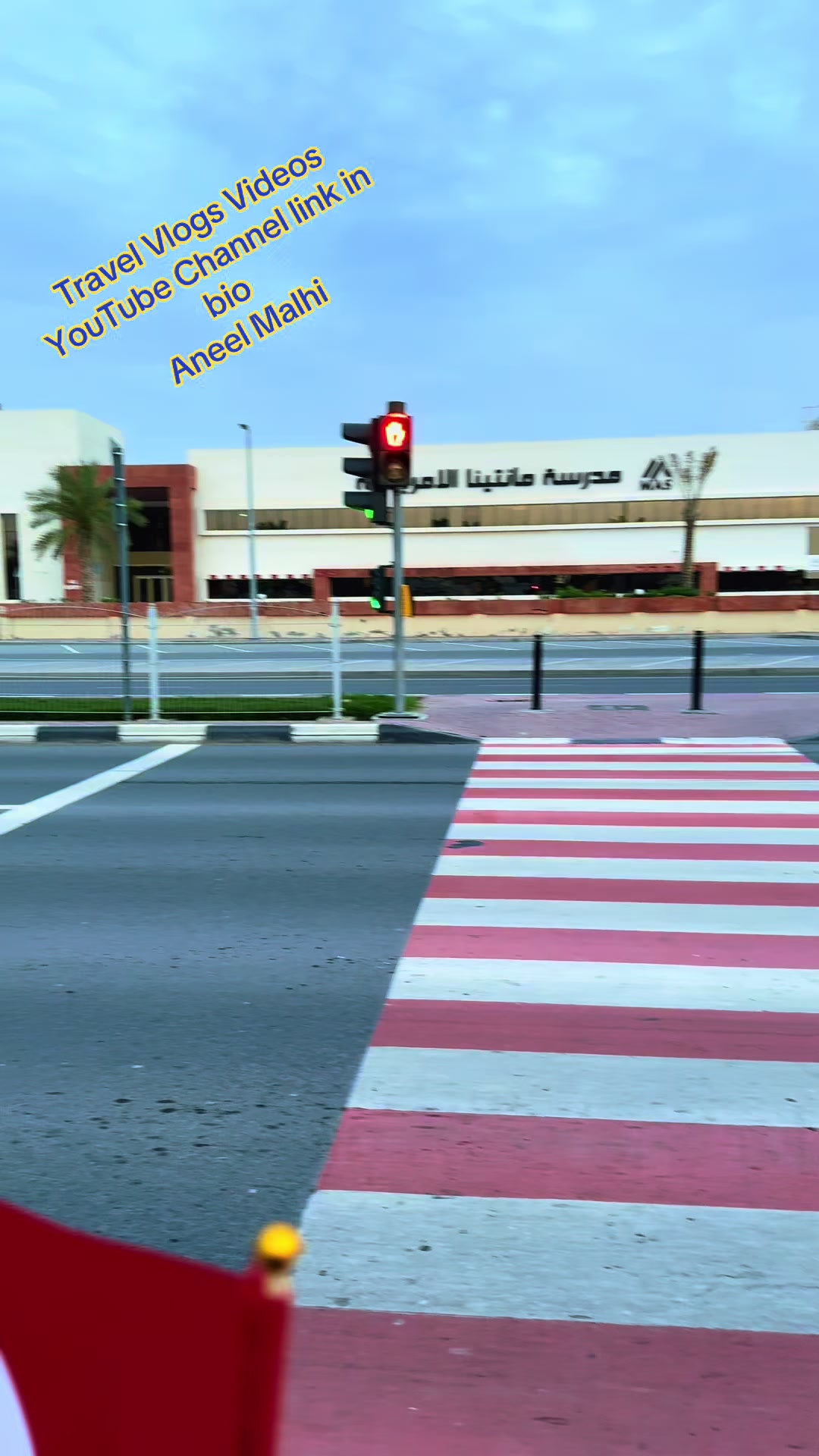 @Aneel Malhi