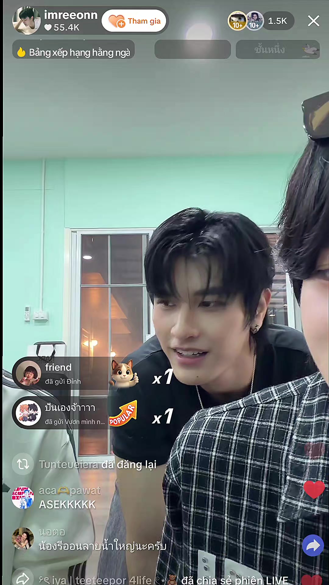 @ʀɛɛօռռ ฅ՞&bull;ﻌ&bull;՞ฅ (🐯)