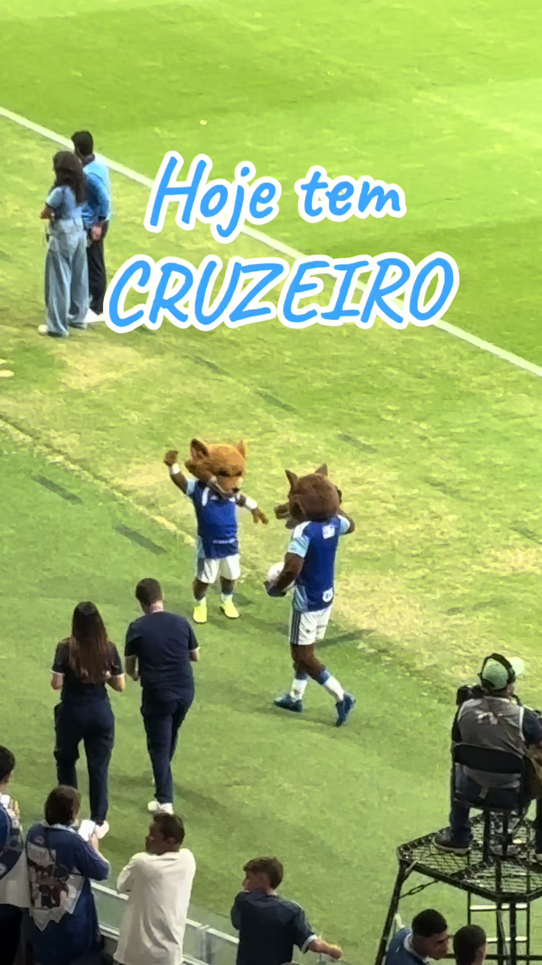 @Link do Cruzeiro