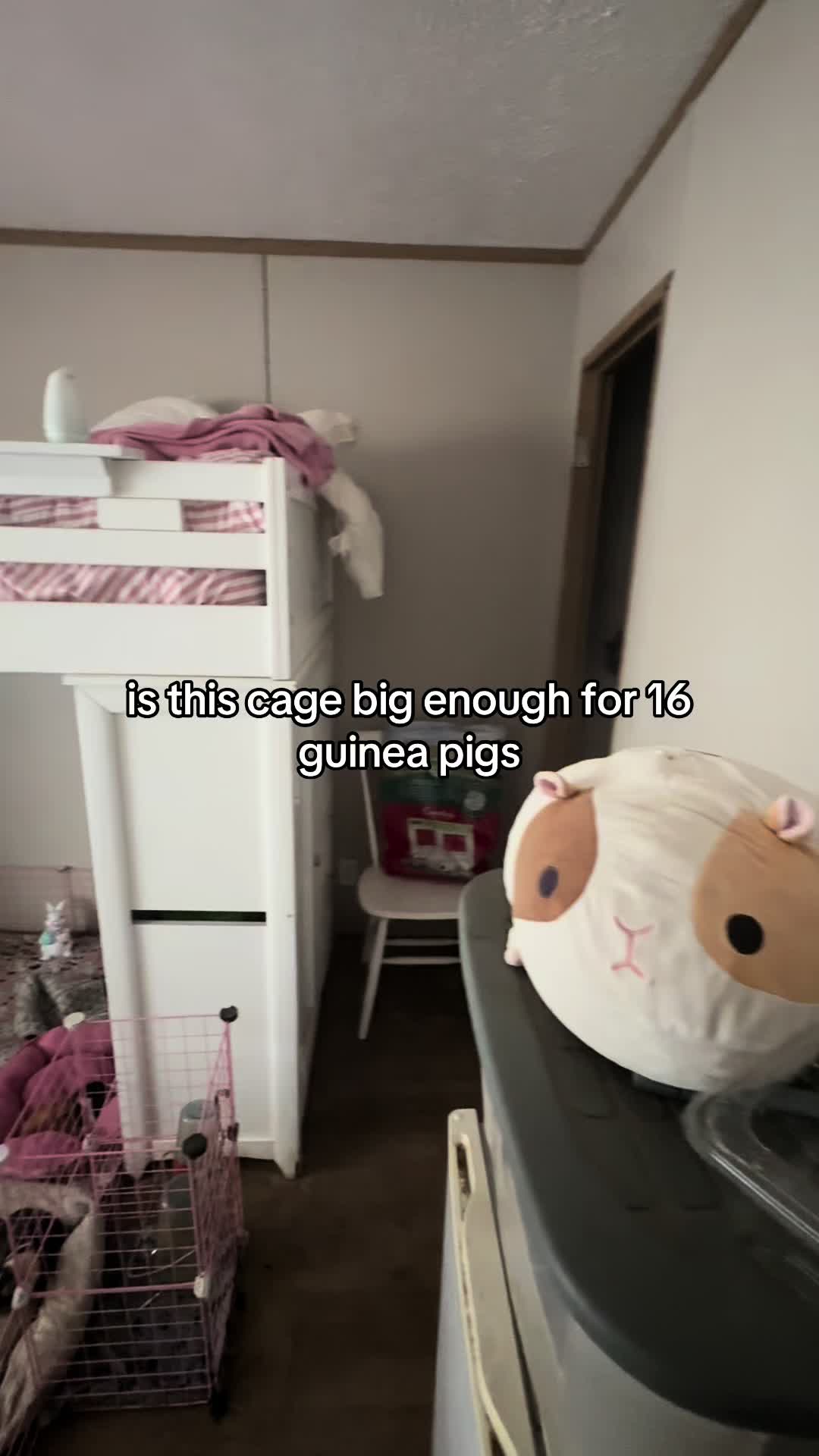 @l3ootyTicklez