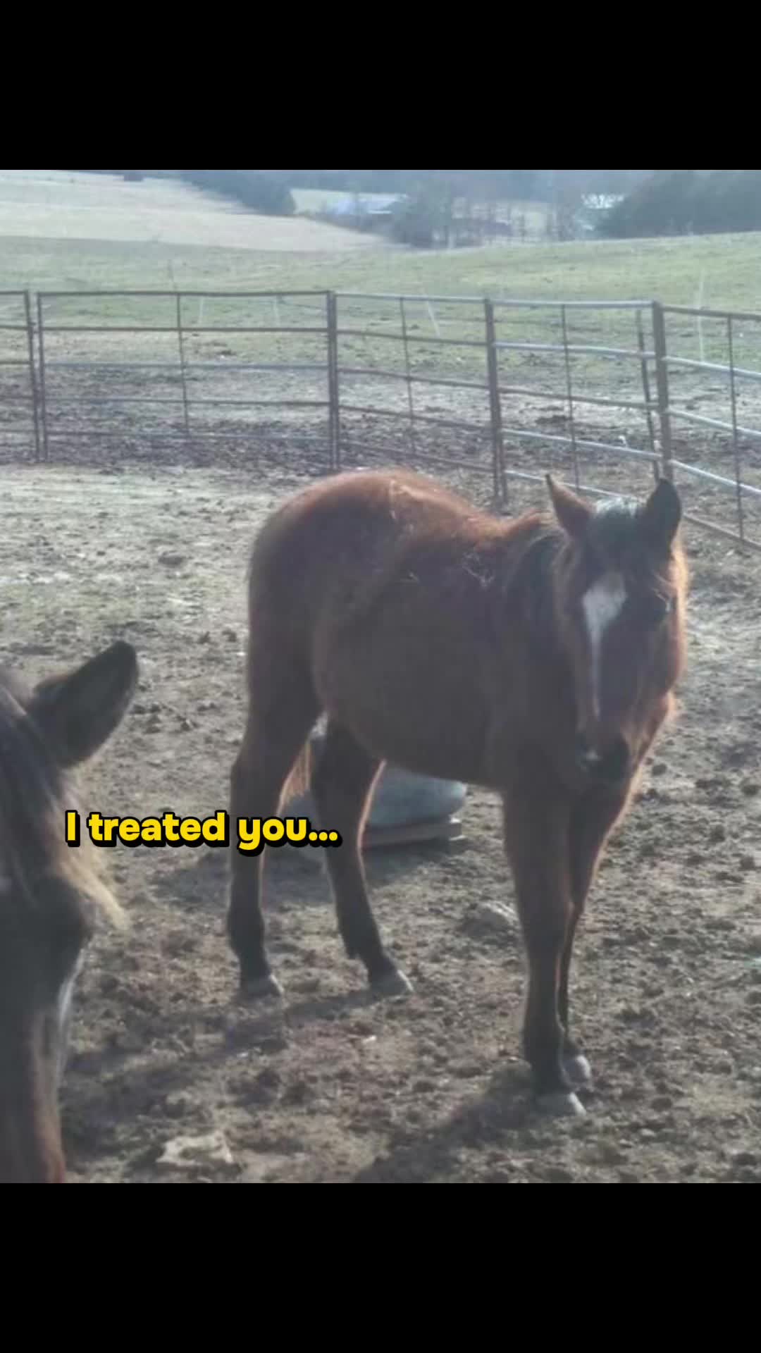 @Ashton Edwards