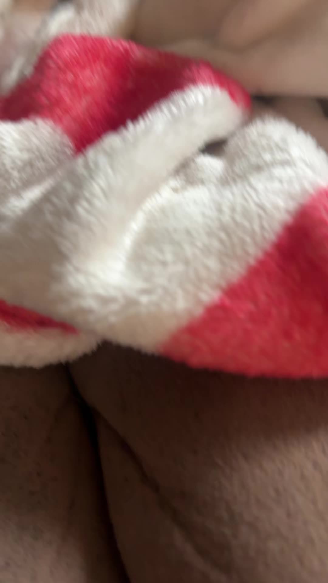 @Kali Willis