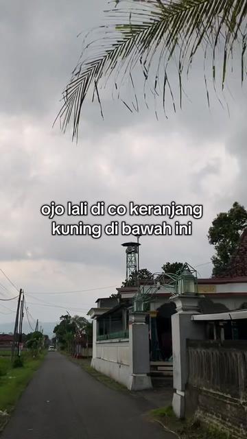 @dapaaa