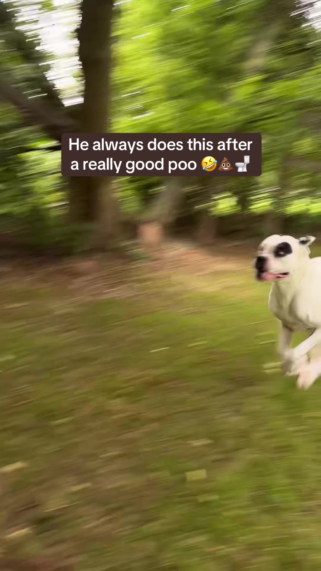 @Packmentality