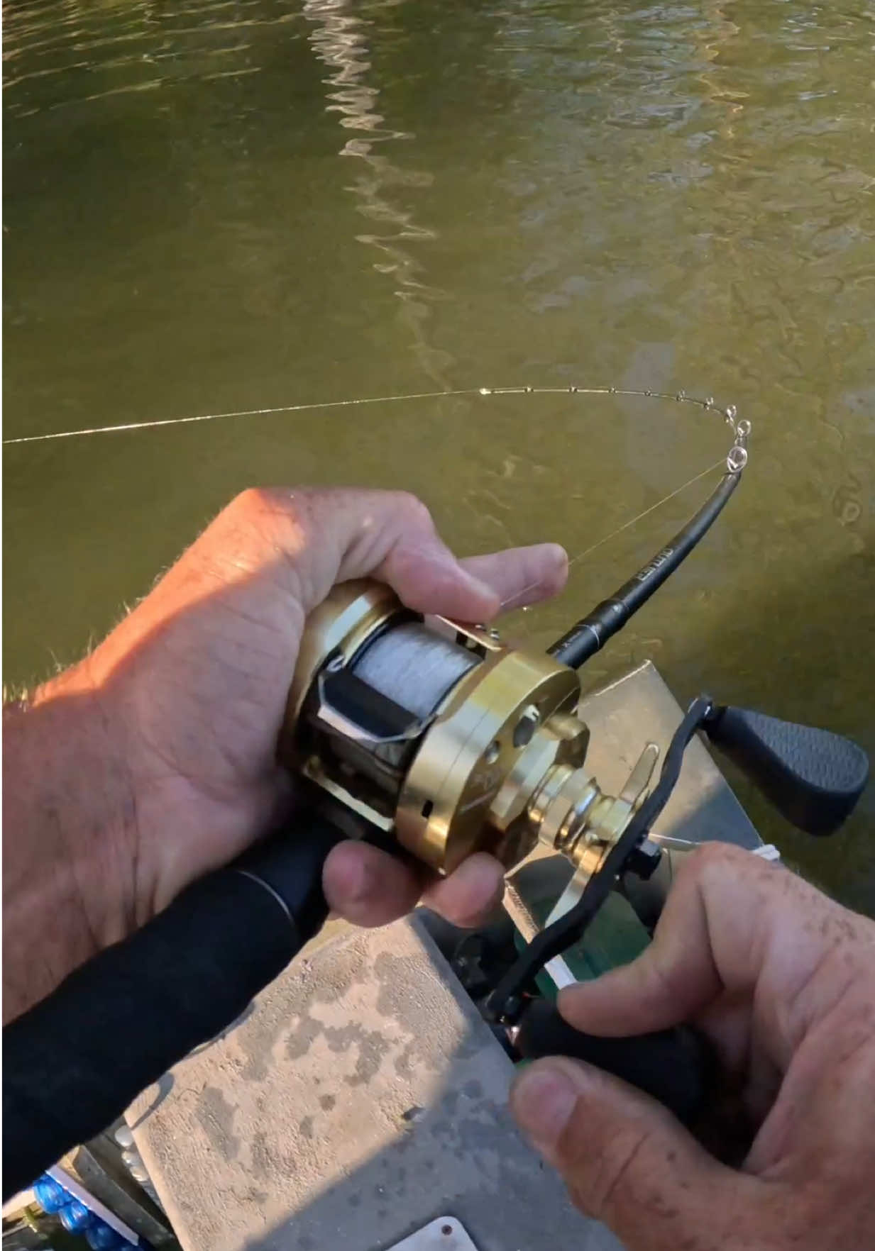 @Tacklehead Fishing