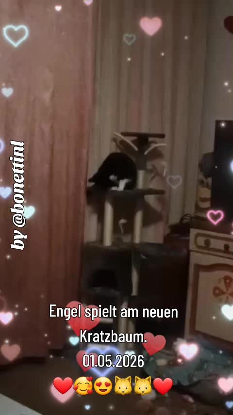 @🌟🅱🅾🅽🅴🆃🆃🅸 🅽🅻🌟
