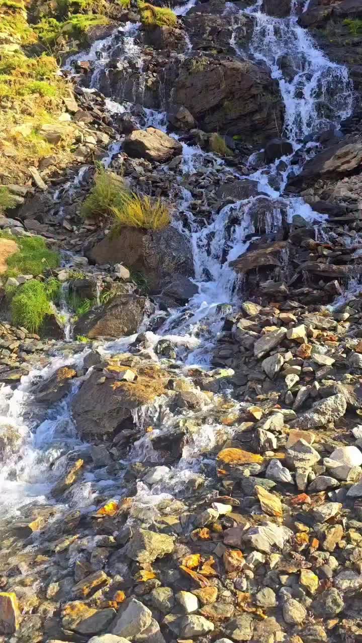@بام_دنیا