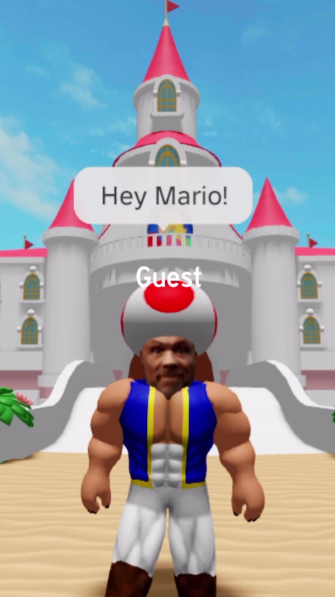 @Maniac Mario