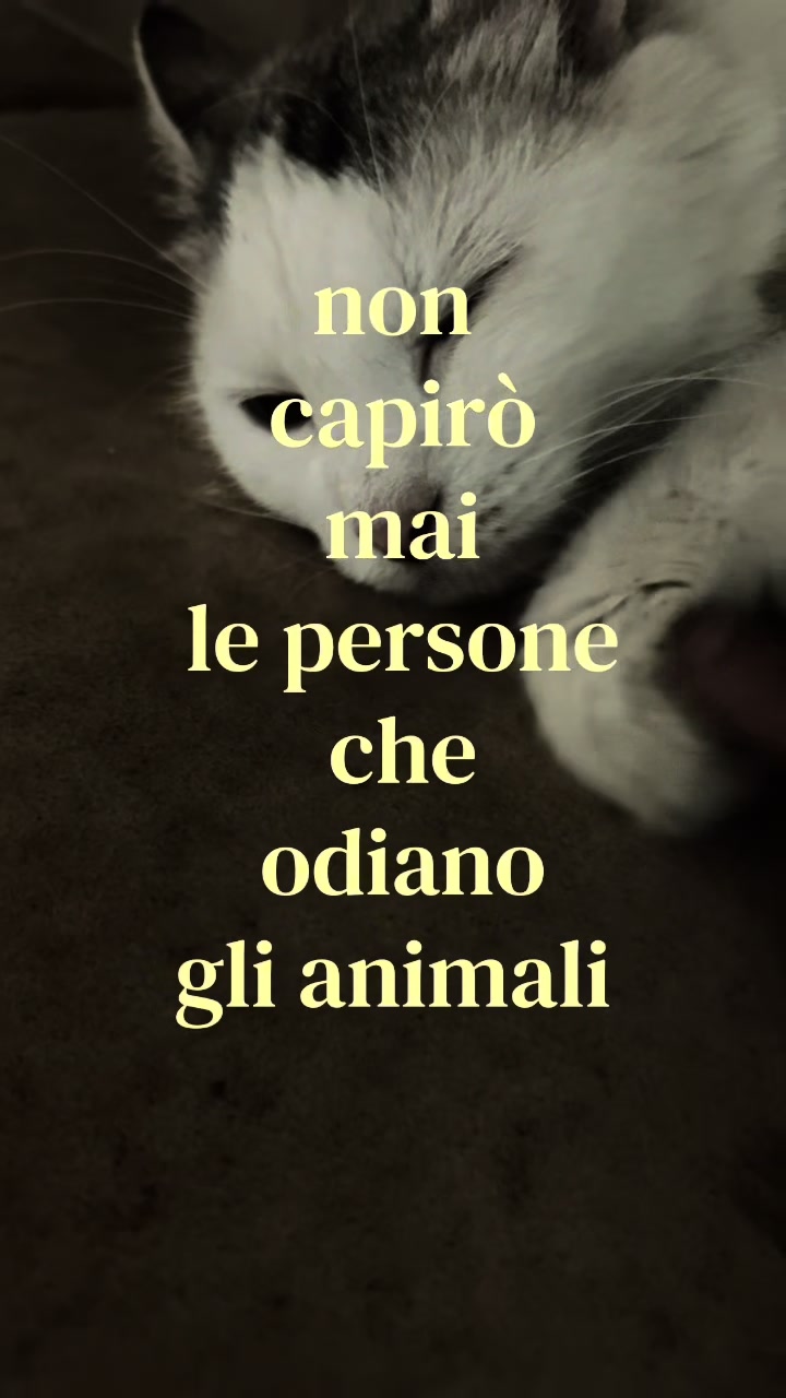 @𝓪𝓷𝓰𝓮