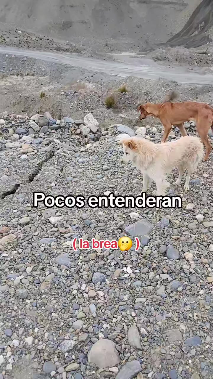 @😍quelindha😍