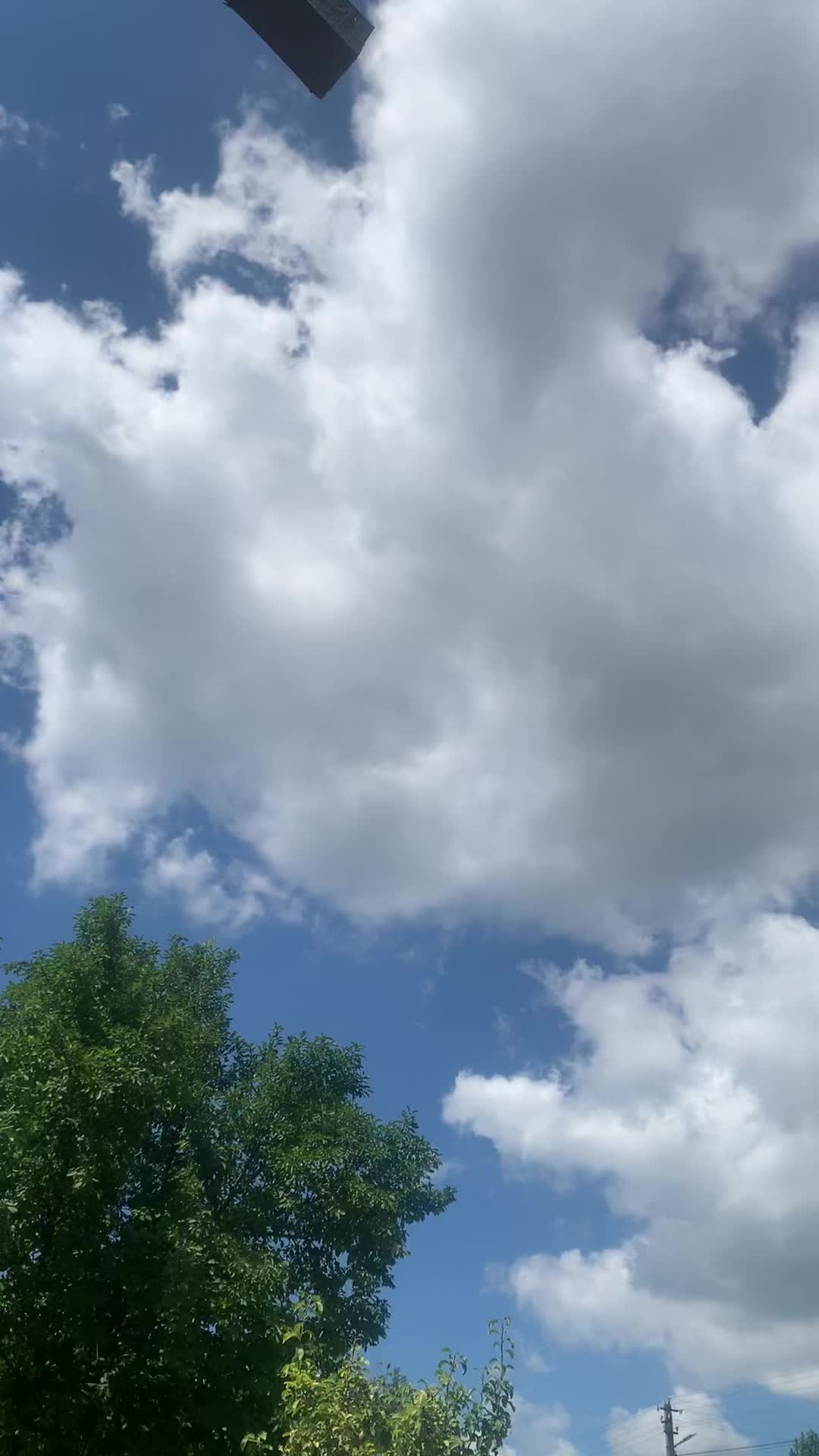 @HolodosS