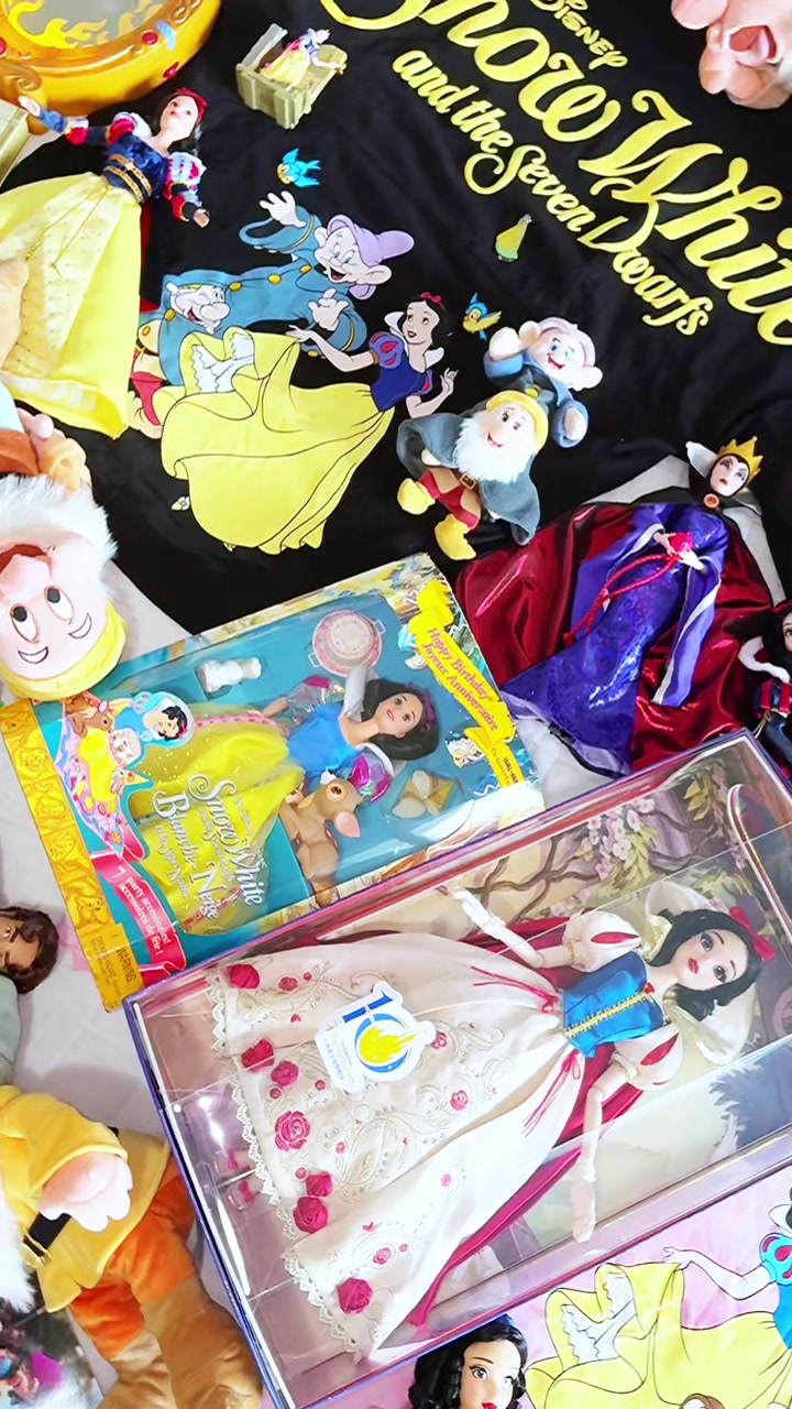 @Disney Dreamer