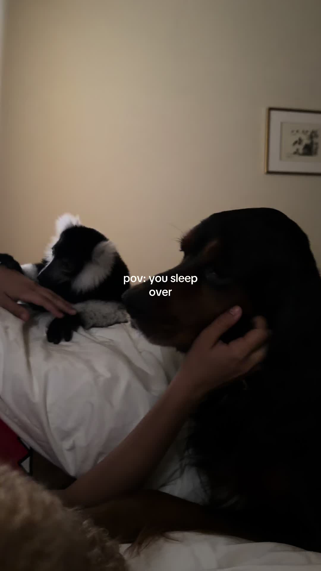 @Jamieee