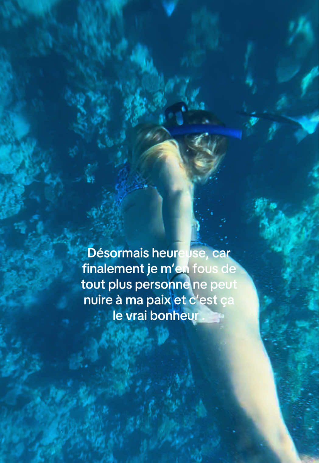 @lolaa_bkrpro