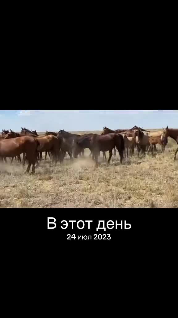 @Аза