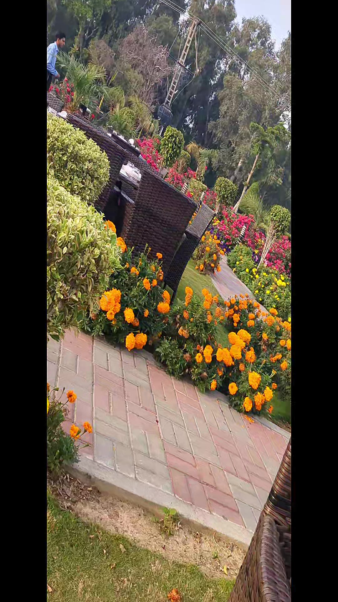 @Muنazza_H