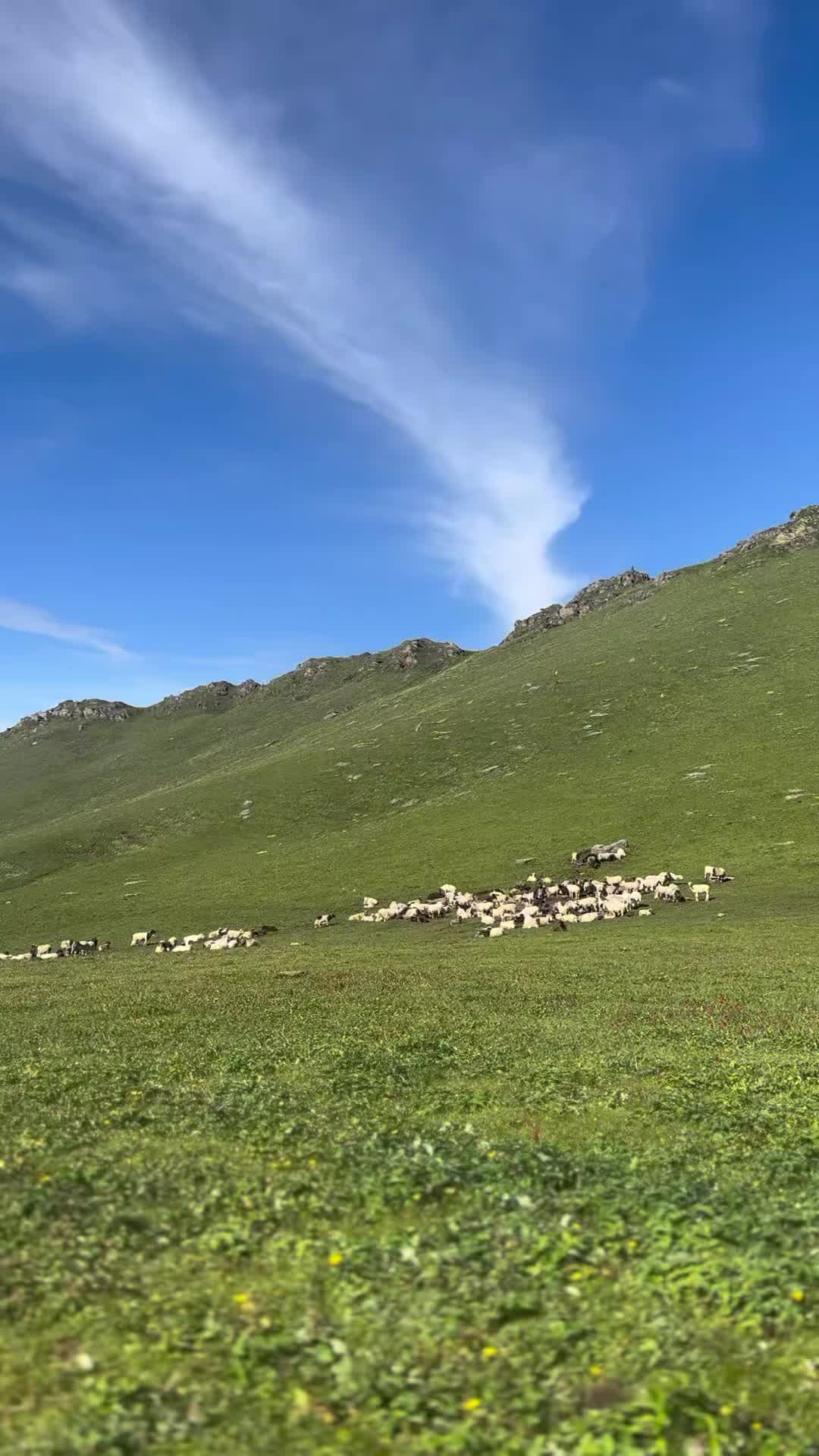 @अंकित शाही!!