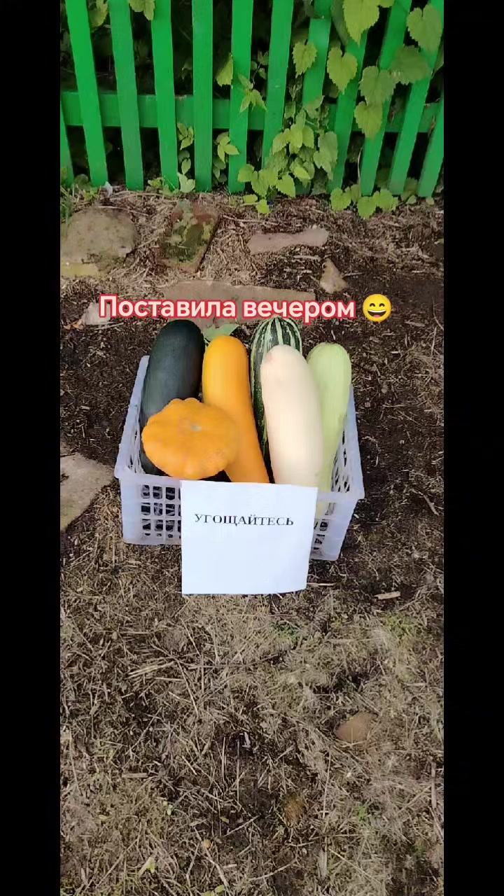 @💜💜💜НАТАЛИ 💜💜💜