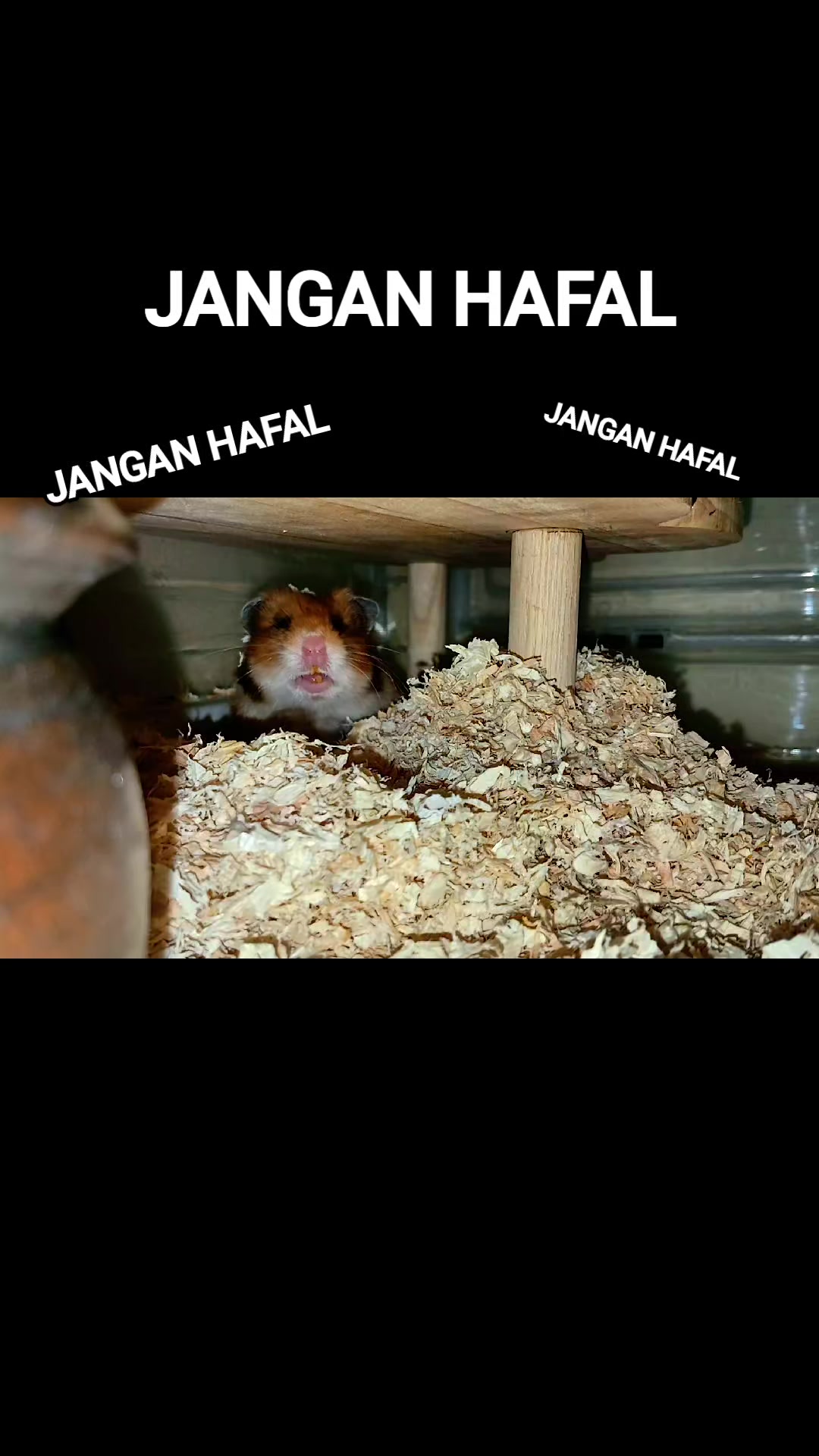 @Pikaaaduuttt