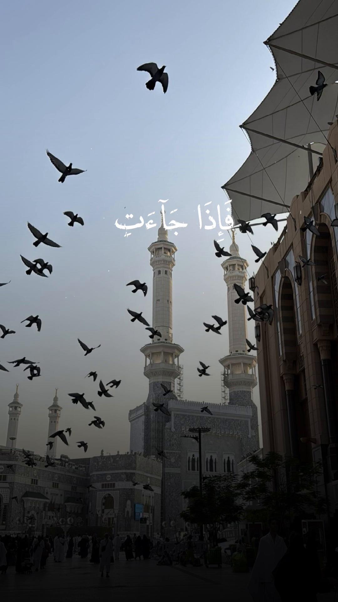 @[QURAN__آيَاتُ ٱلنُّورِ🌐☪️✅