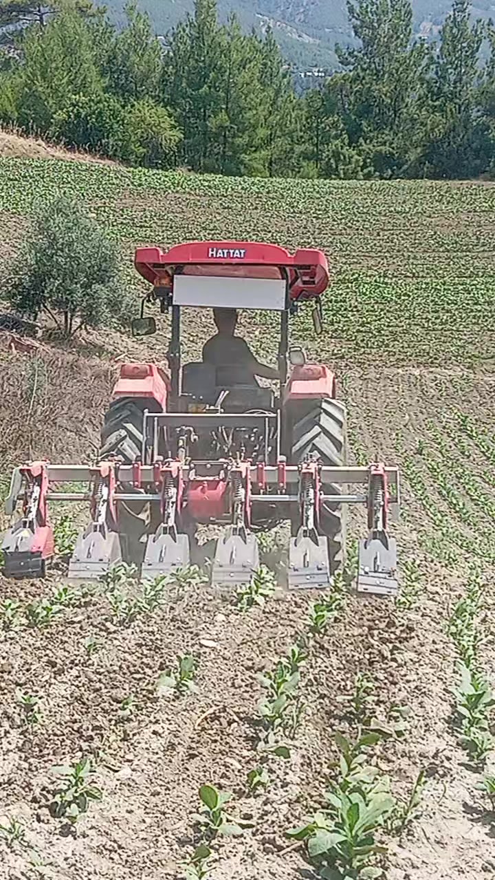 @İsmail sarıkavak