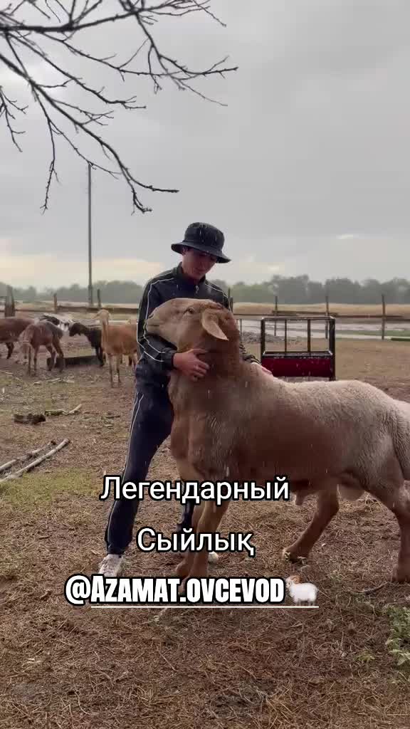 @Гани