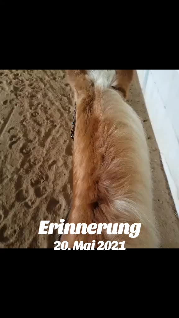 @Petra