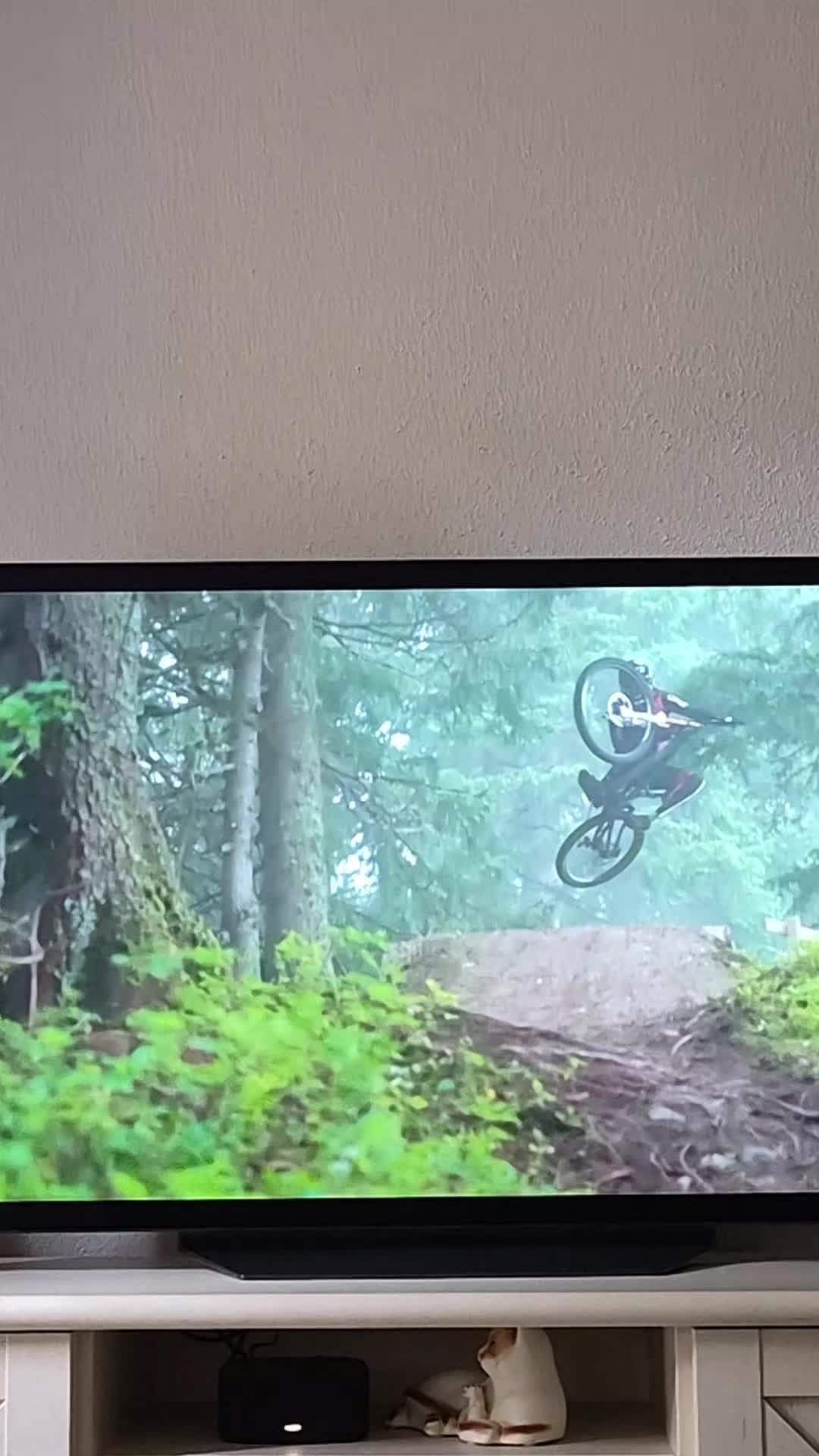 @mtb downhill tiktok