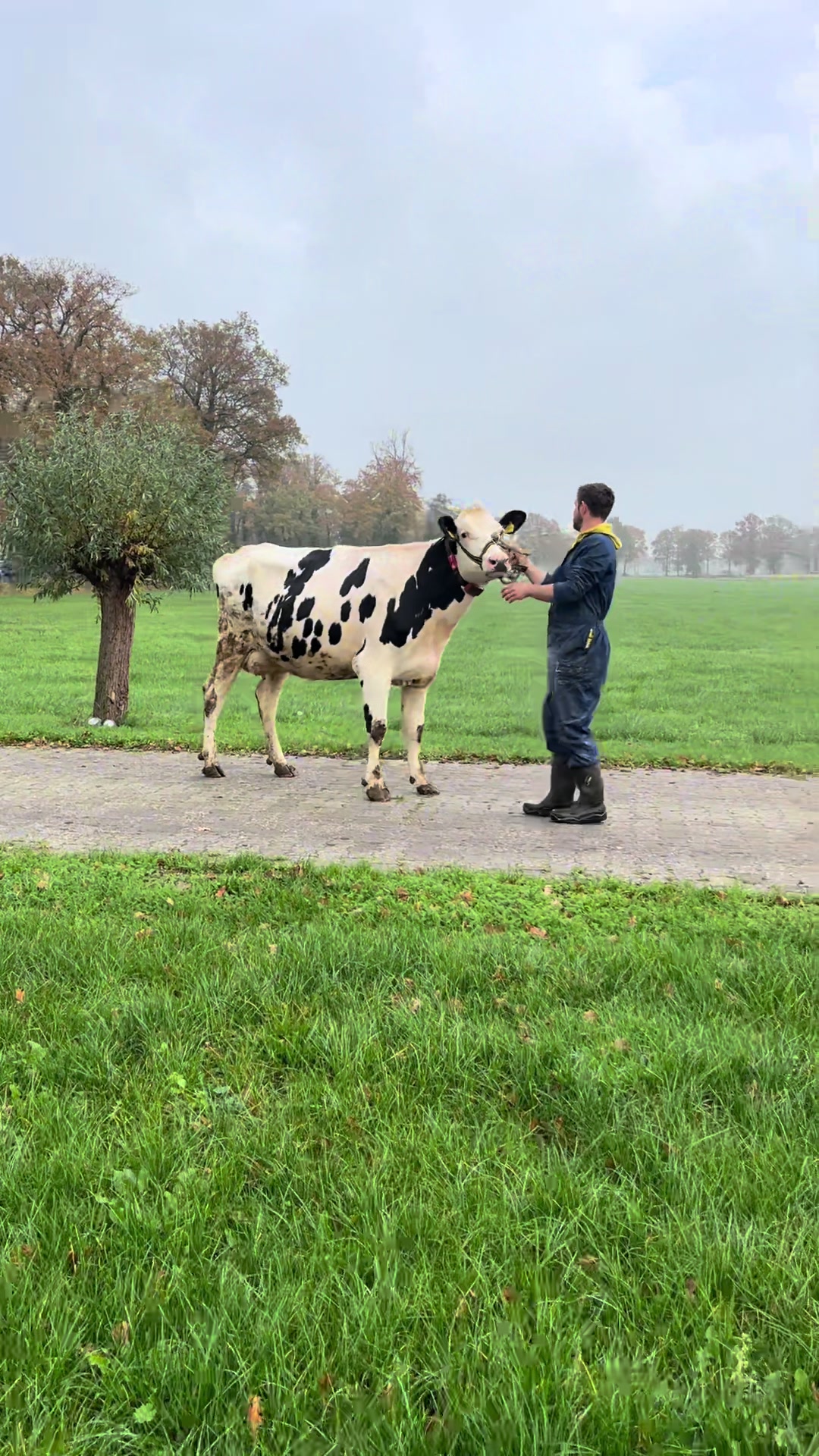 @zaterdagstrijders