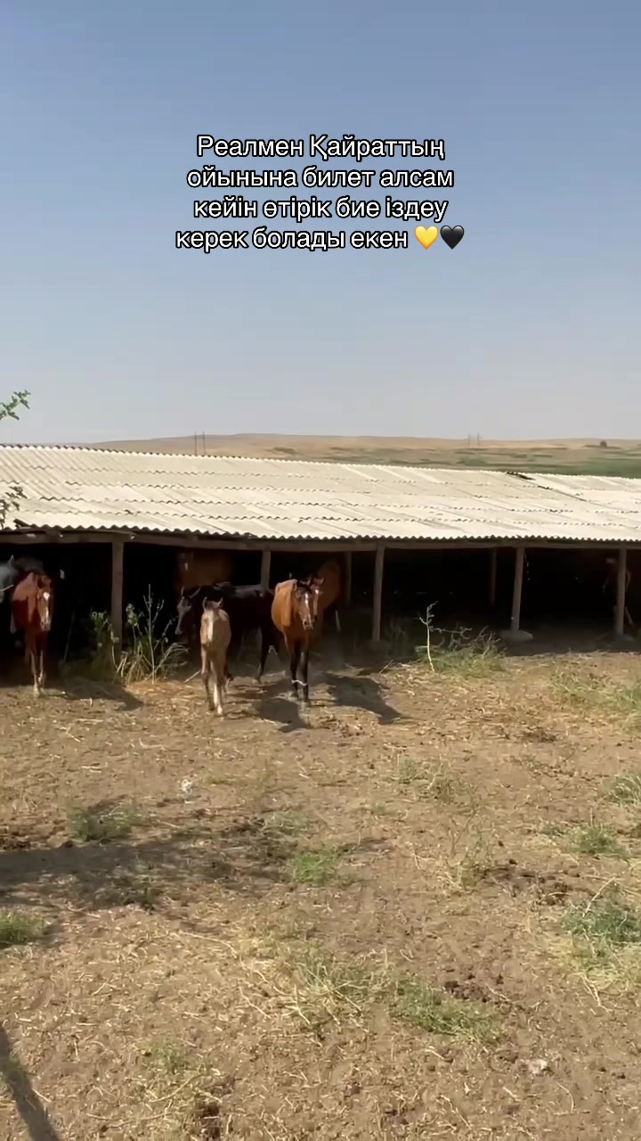 @Досымжан