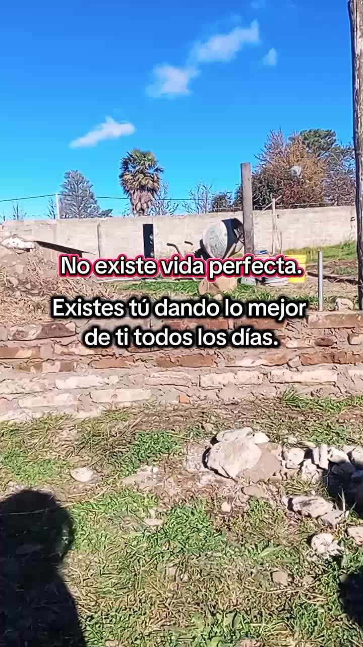 @Yany