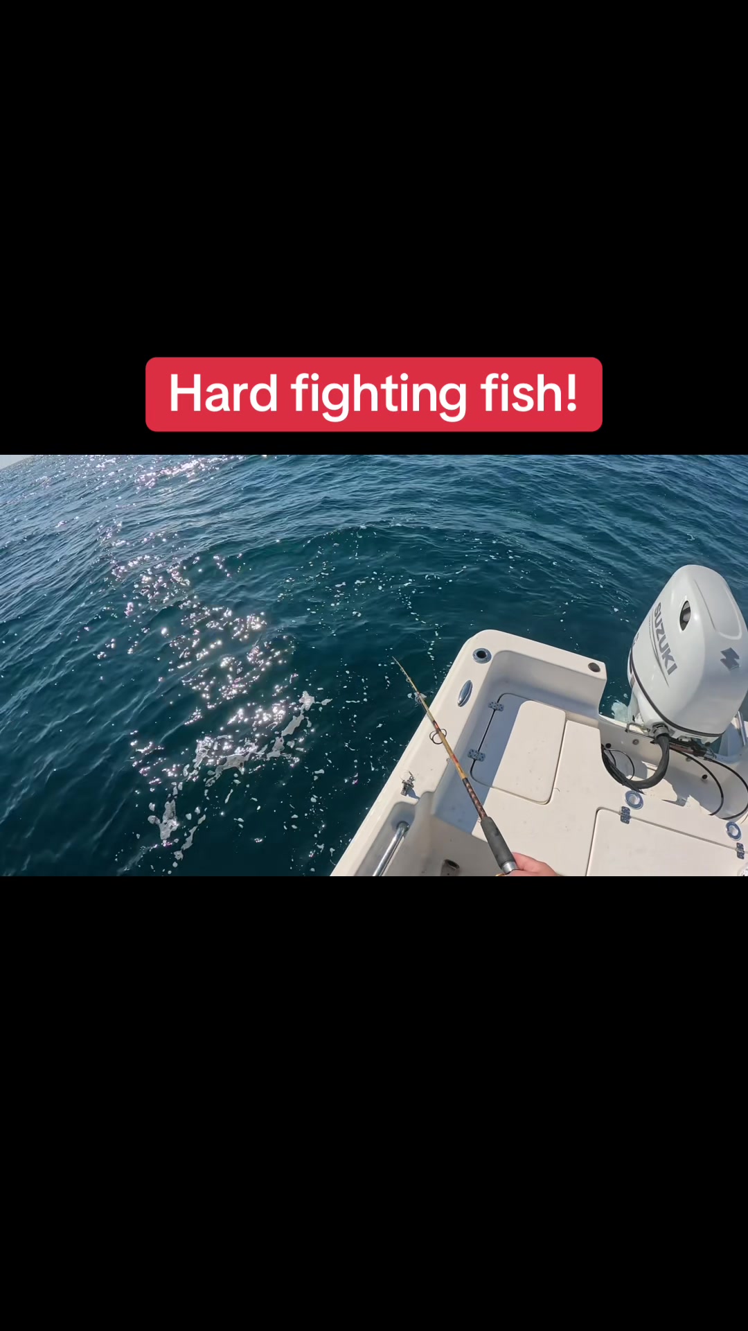@BeaufortSC_Bait