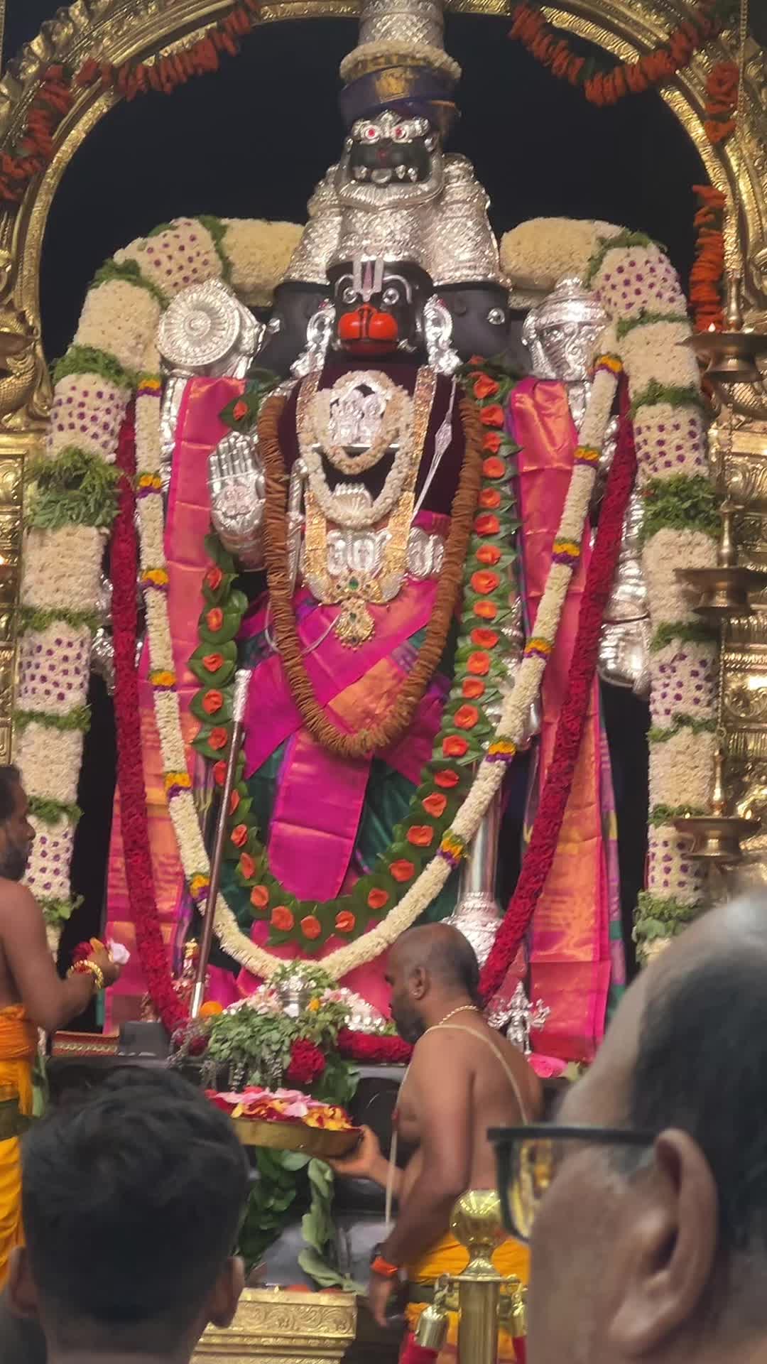 @Bhavika Gor