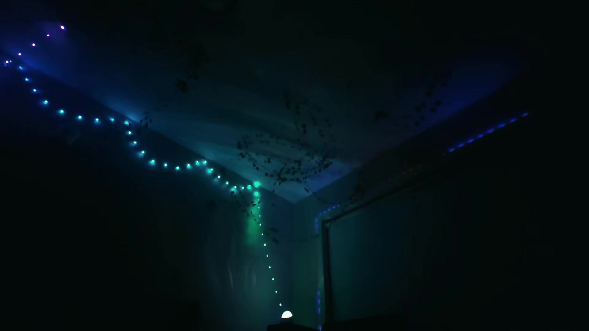 @💜✨️♡ASVJ♡✨️💚