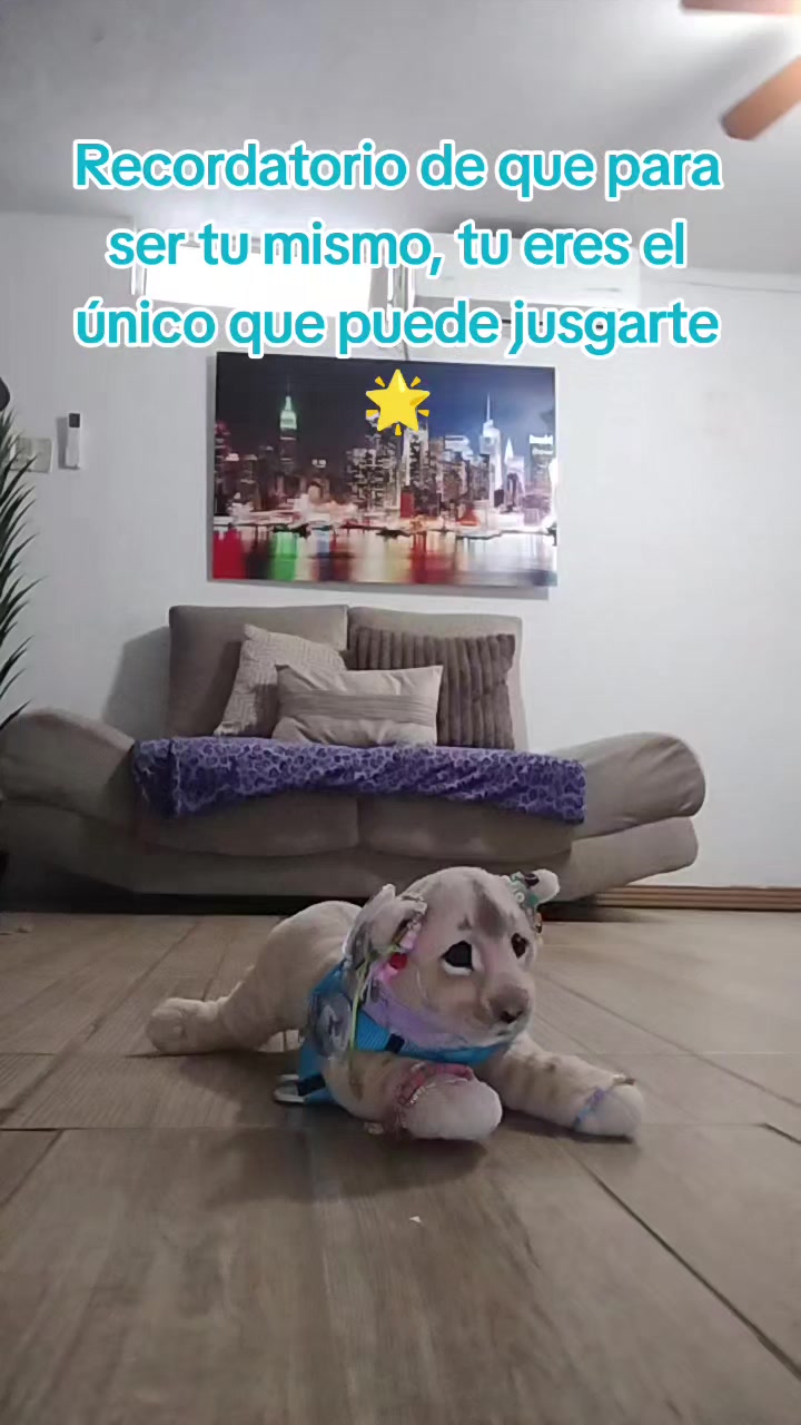 @Dexter𓃥333💜🐾🐶