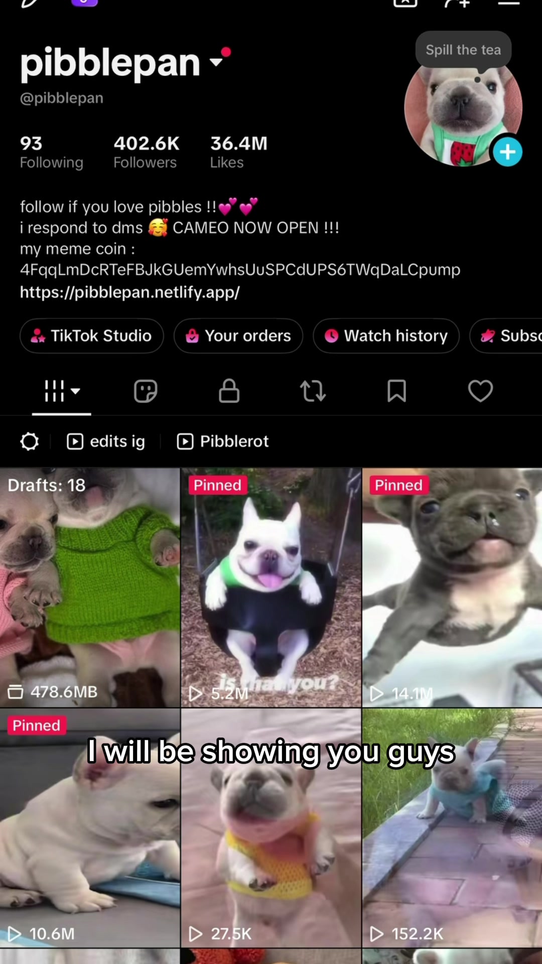 @pibblepan