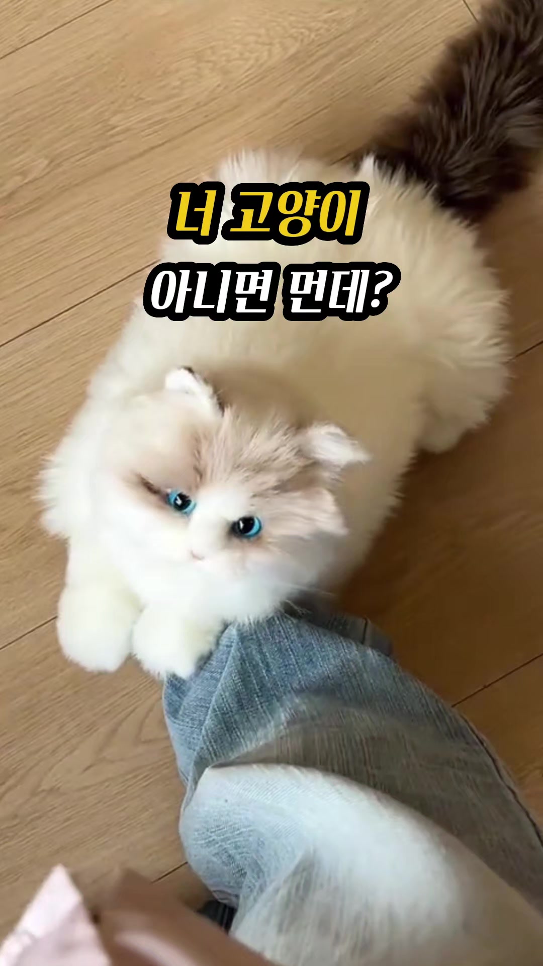 @🔍🔍상품 확인은 여기를 눌러주세요💡