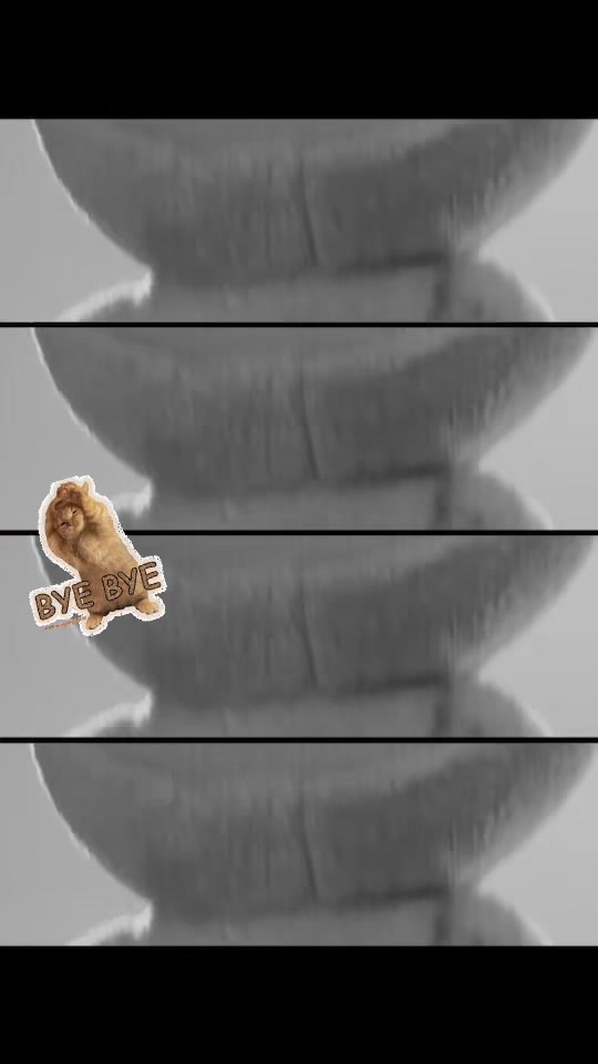@𝕶𝖜𝖆𝖓𝖈𝖍𝖆𝖓𝖔𝖐✰.