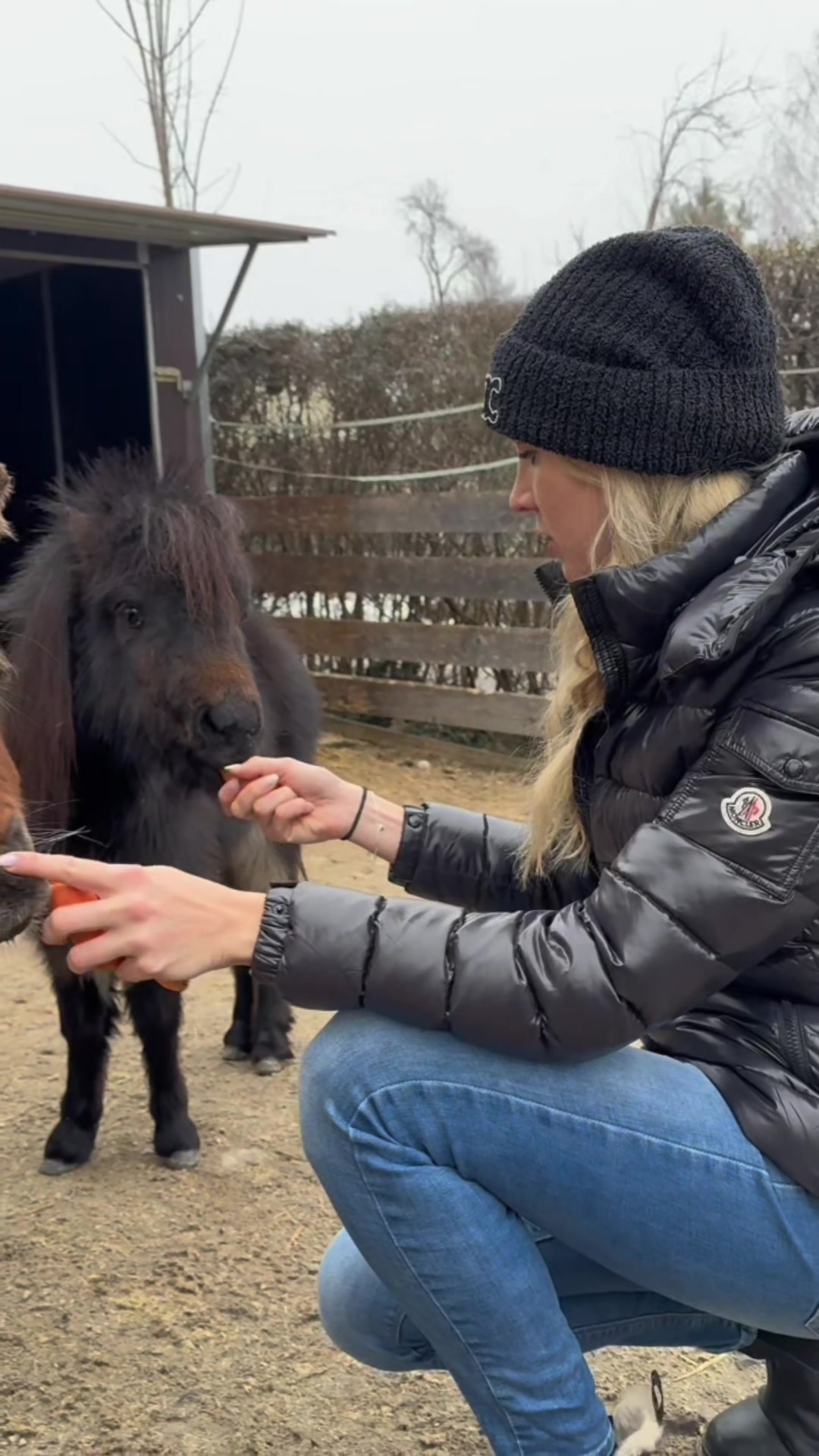 @julia_libertyhorses