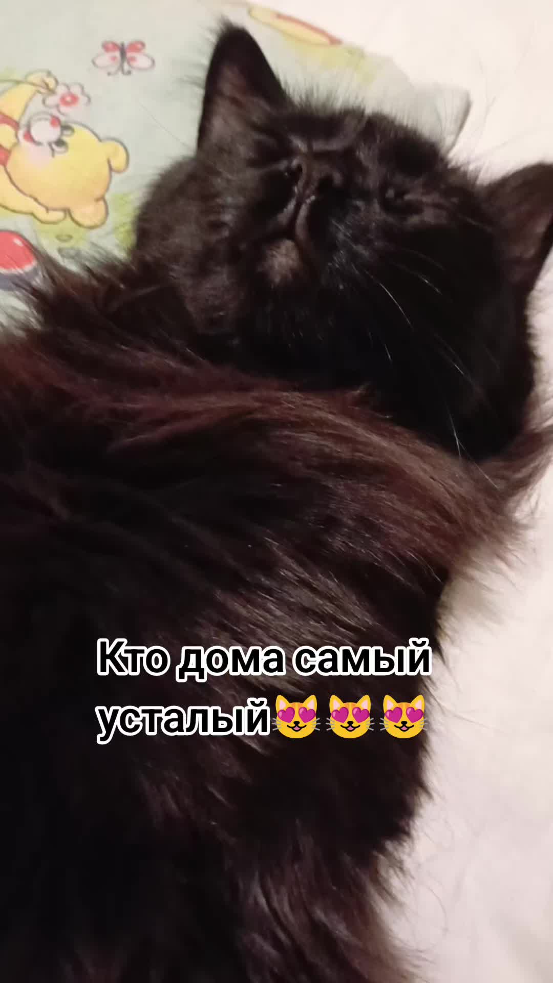 @Lesya Bronzova