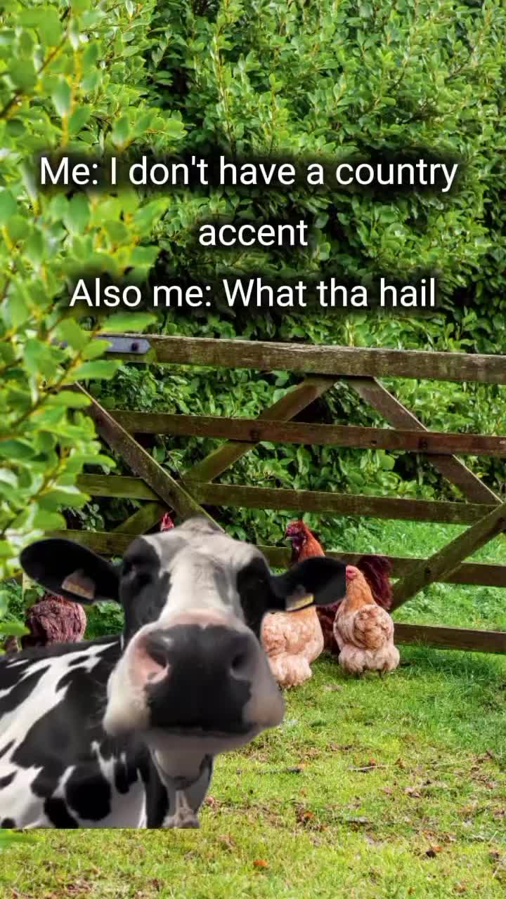 @JennJustCluckinAround