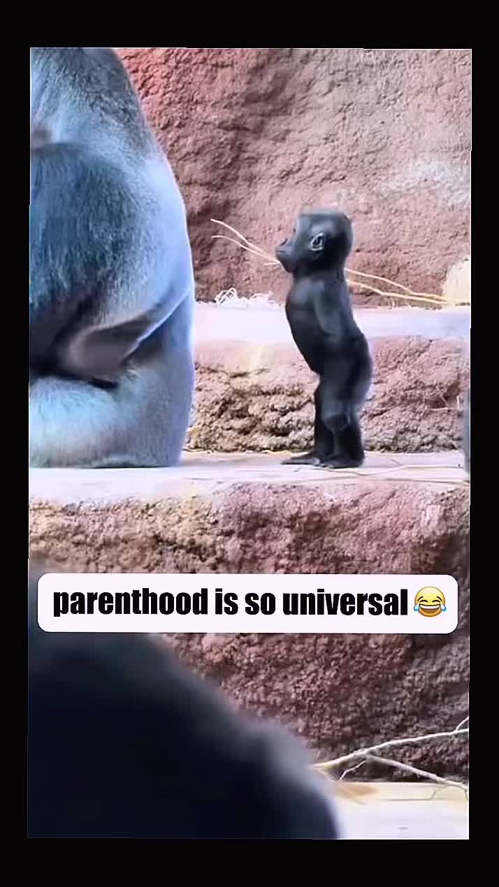 @Sangeeta 🎵