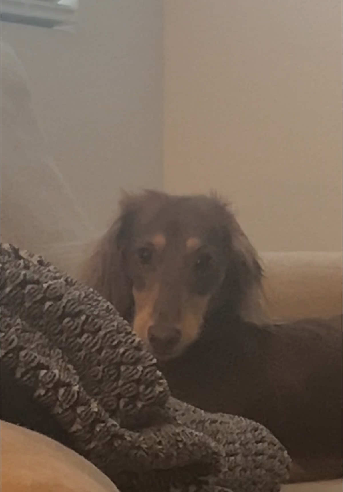 @Moose