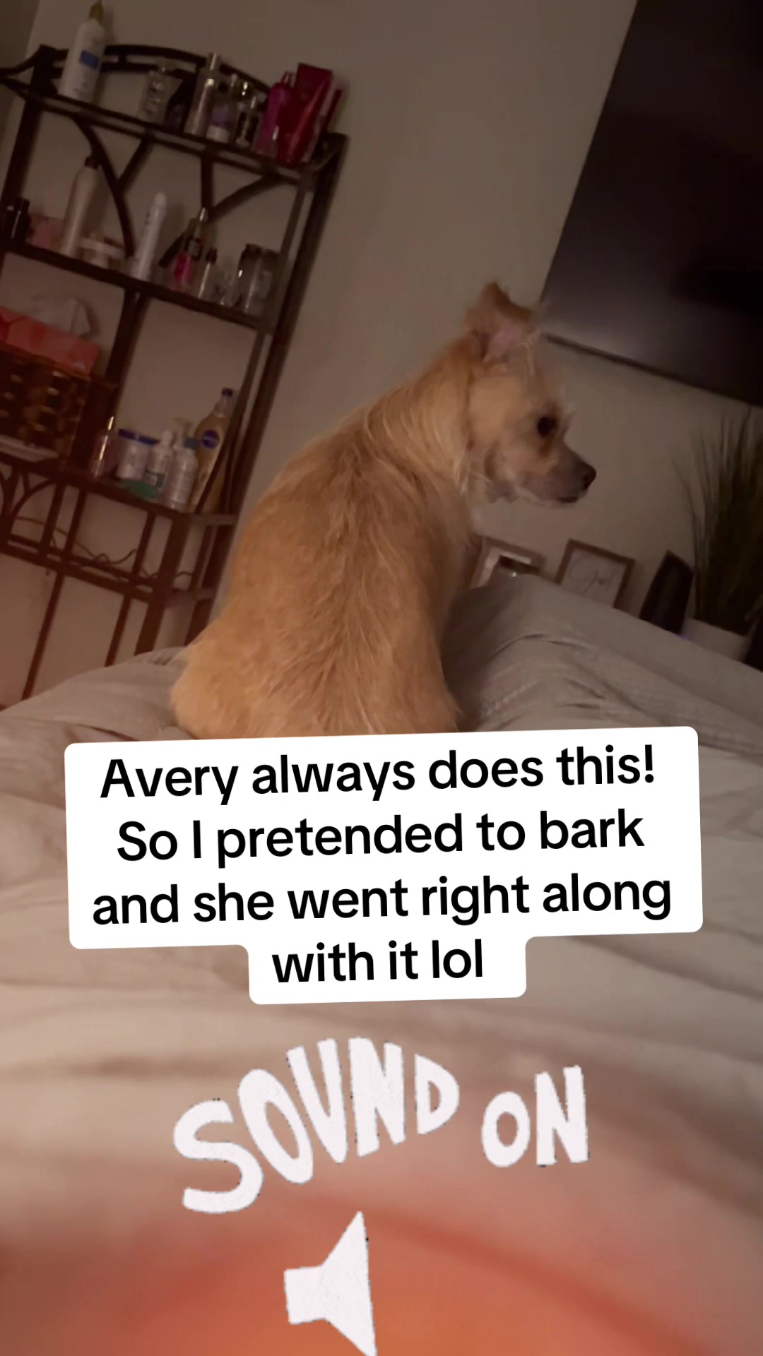 @Becky